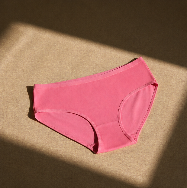 Women’s Seamless Panty Combo Pack (Pack of 3) | Buy 1 Get 1 FREE